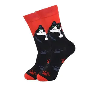 Cool Cat Socks from the Sock Panda (Adult Large - Men's Shoe Sizes 8-12)