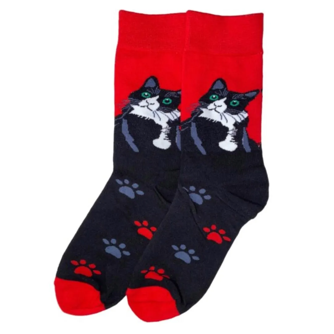 Cool Cat Socks from the Sock Panda (Adult Large - Men's Shoe Sizes 8-12)