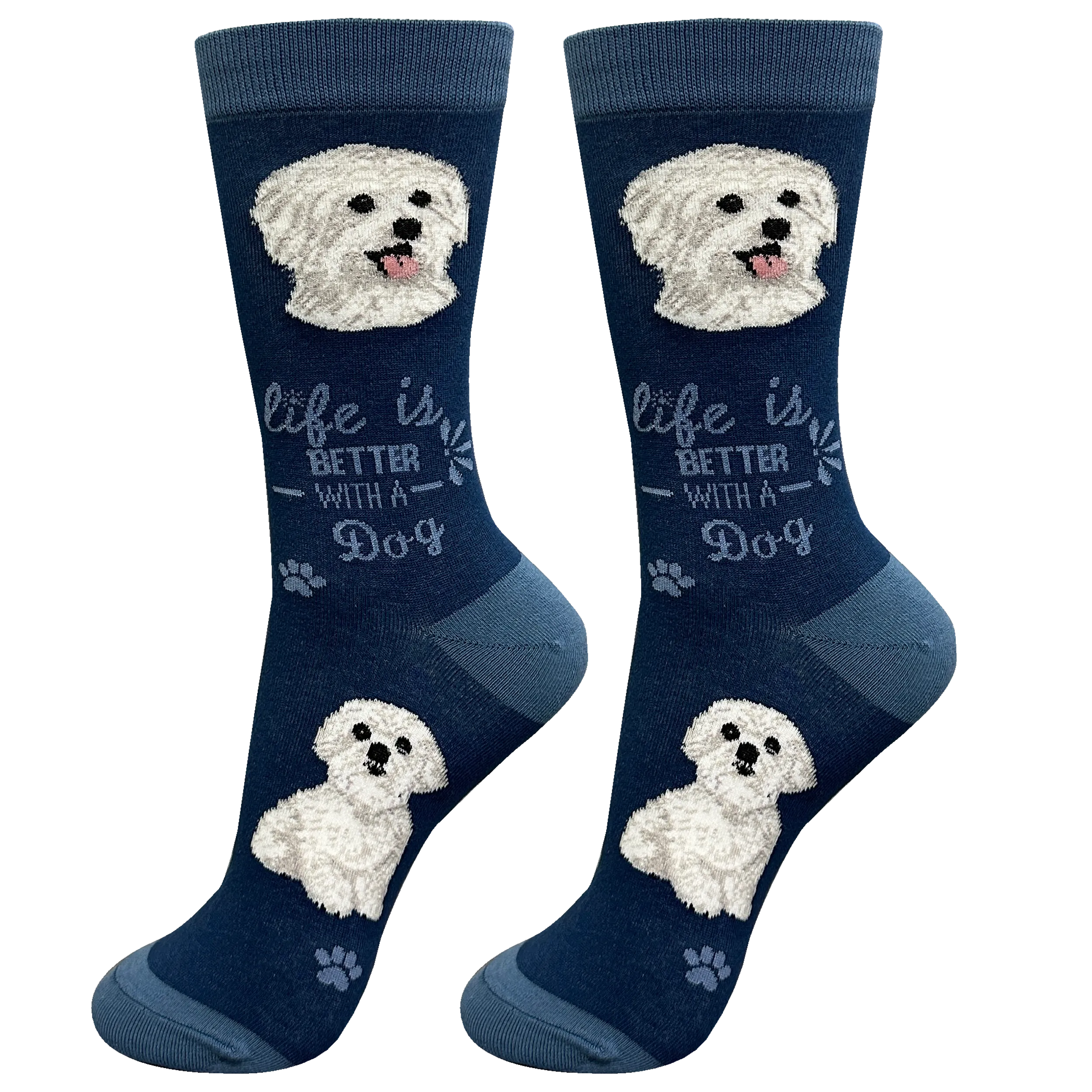 Cool Socks Maltese