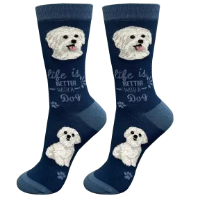 Cool Socks Maltese