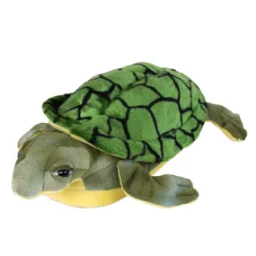 Turtle Slippers